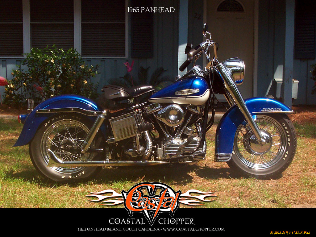 , harley, davidson